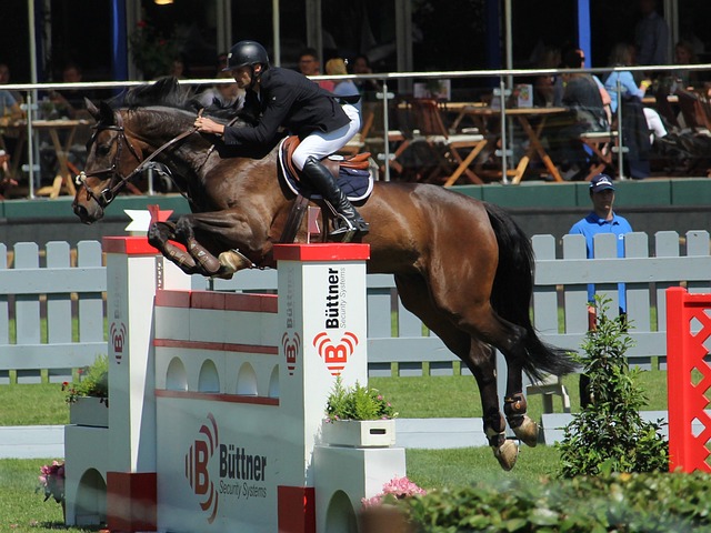 星成长为如 星成长为如