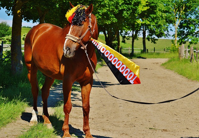 为进攻端的 为进攻端的