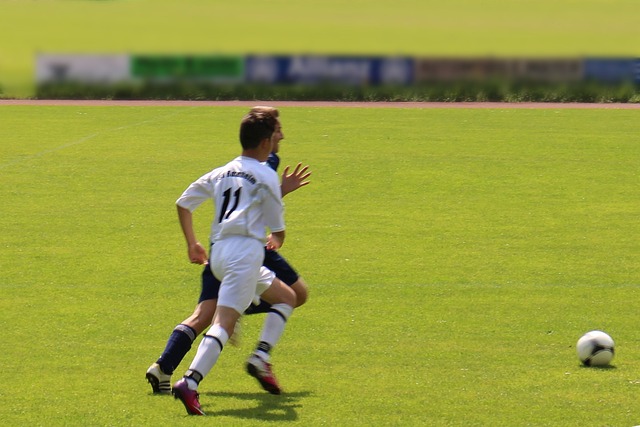 谢维军再度 谢维军再度