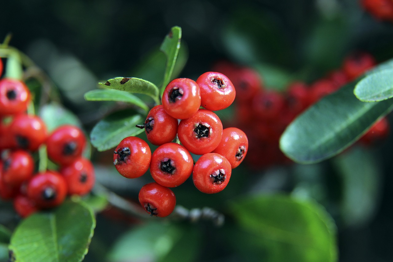 察對手防線 察對手防線