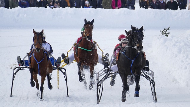 沟通策略 沟通策略
