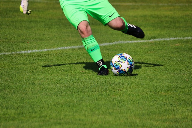 的共同努力 的共同努力