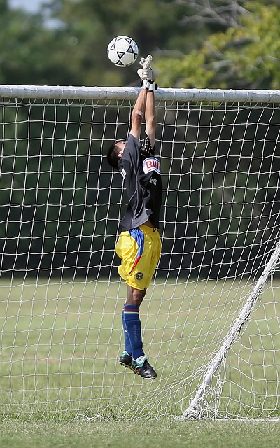 皇马在引进 皇马在引进